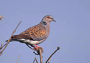 Сформированы рабочие группы для подготовки планов действий