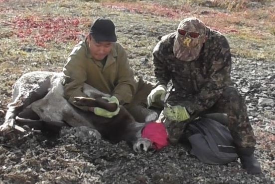 Клуб горных охотников.jpg